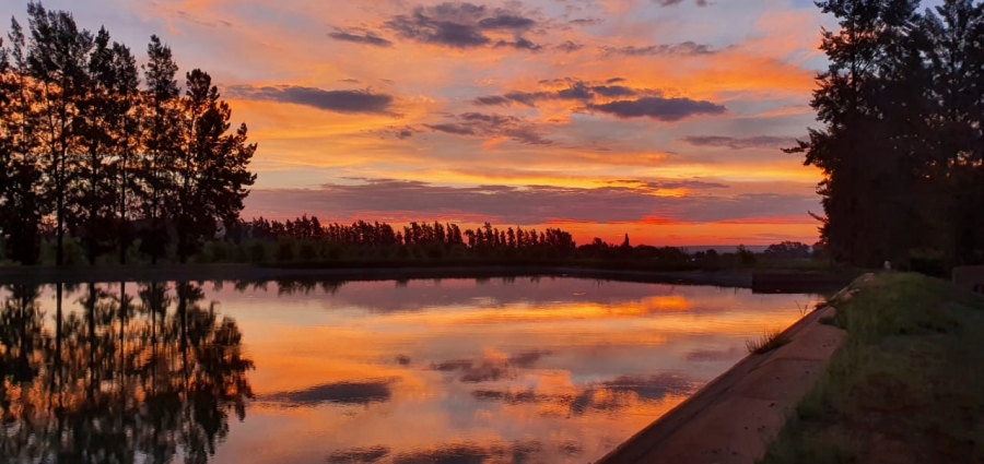 Commercial Property for Sale in Hartswater Rural Northern Cape